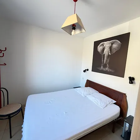 Desman Luz-Saint-Sauveur